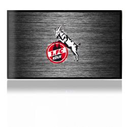 Folien für Spielekonsolen matt