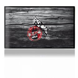 Folien für Spielekonsolen matt