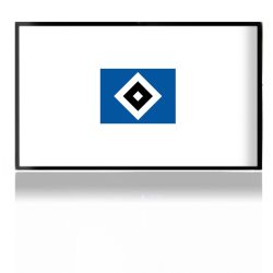 Folien für Spielekonsolen matt