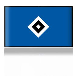 Folien für Spielekonsolen matt