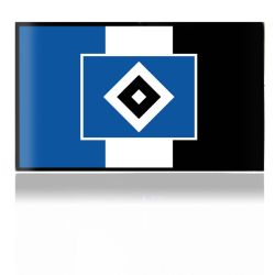 Folien für Spielekonsolen matt