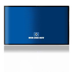 Folien für Spielekonsolen matt