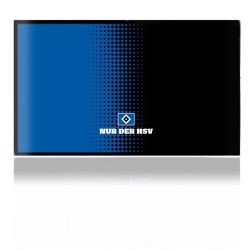 Folien für Spielekonsolen matt