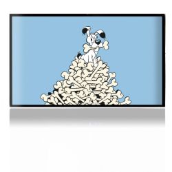 Folien für Spielekonsolen matt