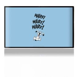 Folien für Spielekonsolen matt