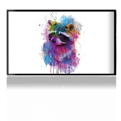 Folien für Spielekonsolen matt