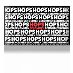 Folien für Spielekonsolen matt