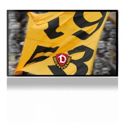 Folien für Spielekonsolen matt