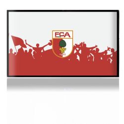 Folien für Spielekonsolen matt