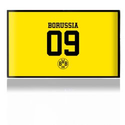 Folien für Spielekonsolen matt