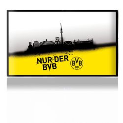 Folien für Spielekonsolen matt