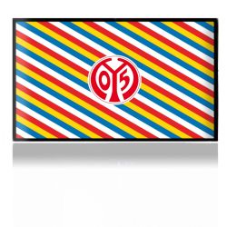 Folien für Spielekonsolen matt