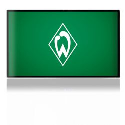 Folien für Spielekonsolen matt