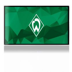 Folien für Spielekonsolen matt