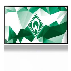 Folien für Spielekonsolen matt