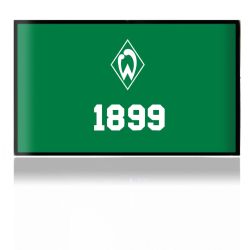 Folien für Spielekonsolen matt