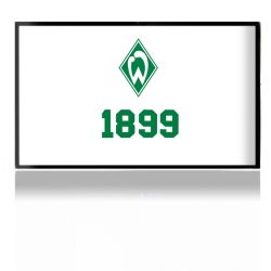 Folien für Spielekonsolen matt