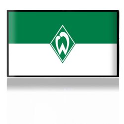 Folien für Spielekonsolen matt