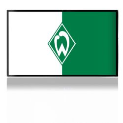 Folien für Spielekonsolen matt