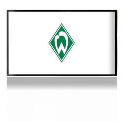 Folien für Spielekonsolen matt