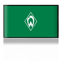 Folien für Spielekonsolen matt