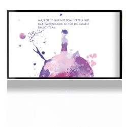 Folien für Spielekonsolen matt