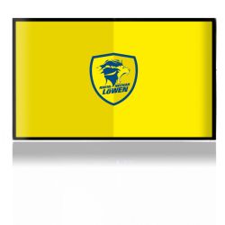 Folien für Spielekonsolen matt