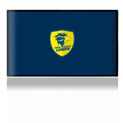 Folien für Spielekonsolen matt