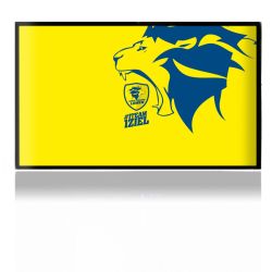 Folien für Spielekonsolen matt