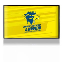 Folien für Spielekonsolen matt