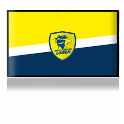 Folien für Spielekonsolen matt