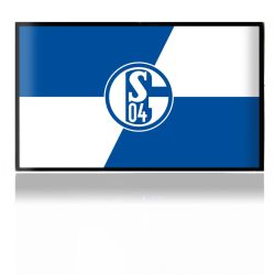 Folien für Spielekonsolen matt