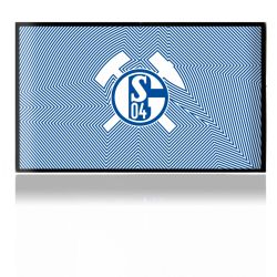 Folien für Spielekonsolen matt