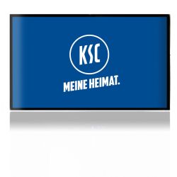 Folien für Spielekonsolen matt