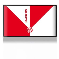 Folien für Spielekonsolen matt