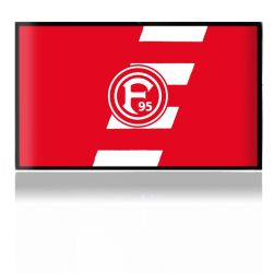 Folien für Spielekonsolen matt