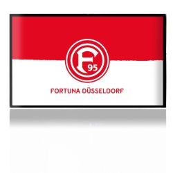 Folien für Spielekonsolen matt