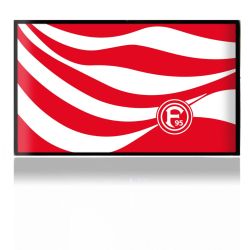 Folien für Spielekonsolen matt