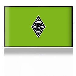 Folien für Spielekonsolen matt