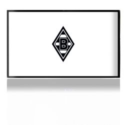 Folien für Spielekonsolen matt