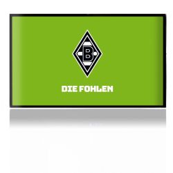 Folien für Spielekonsolen matt