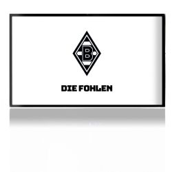 Folien für Spielekonsolen matt