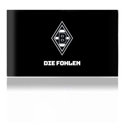 Folien für Spielekonsolen matt