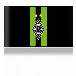 Folien für Spielekonsolen matt