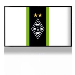 Folien für Spielekonsolen matt