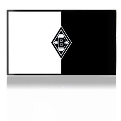 Folien für Spielekonsolen matt