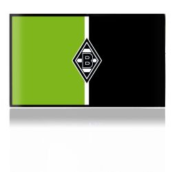 Folien für Spielekonsolen matt