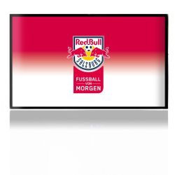 Folien für Spielekonsolen matt