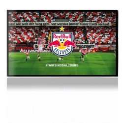 Folien für Spielekonsolen matt