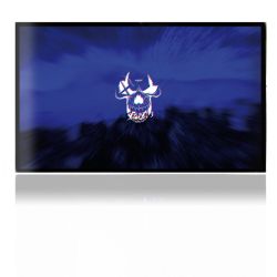 Folien für Spielekonsolen matt